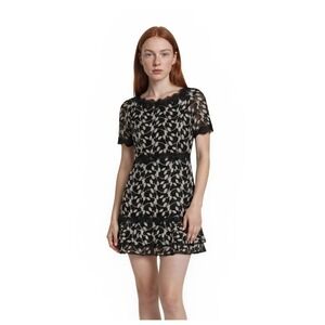 Shani Fit Flare Cocktail Dress Women Size 10 Black Cream Embroidered Lace Ruffle